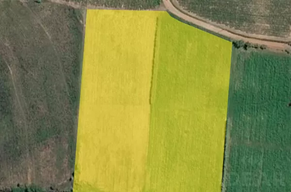 AREA DE TERRA DE 2ha  COM 100% DE PLANTIO