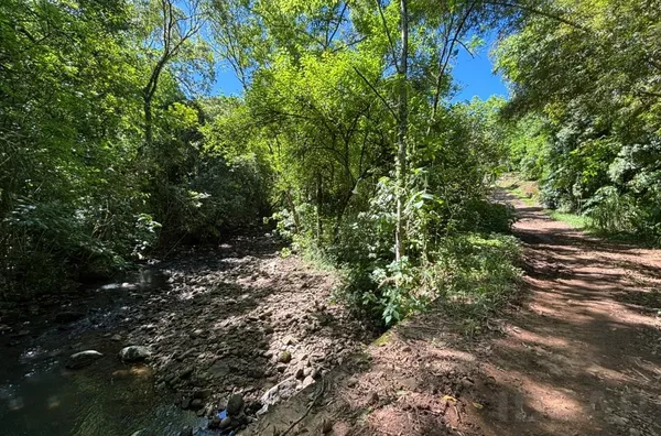 MUITA SOMBRA E NATUREZA FAZEM PARTE DO CONFORTO QUE BUSCA