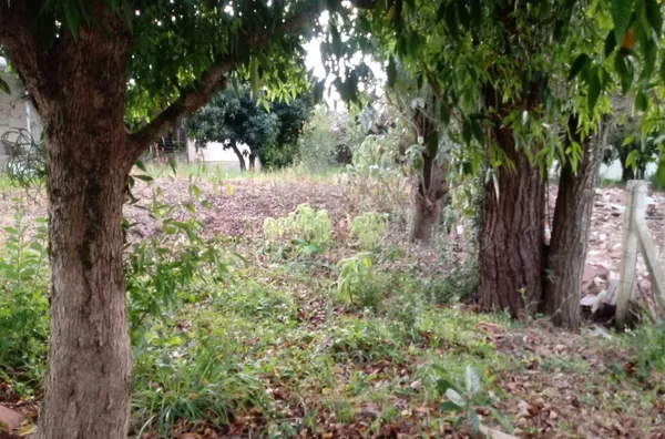 COMÉRCIO OU RESIDÊNCIA, NO MELHOR PONTO DA CIDADE