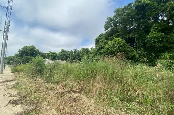 INVESTIMENTO COM EXCELENTE RETORNO PARA SUA FAMÍLIA