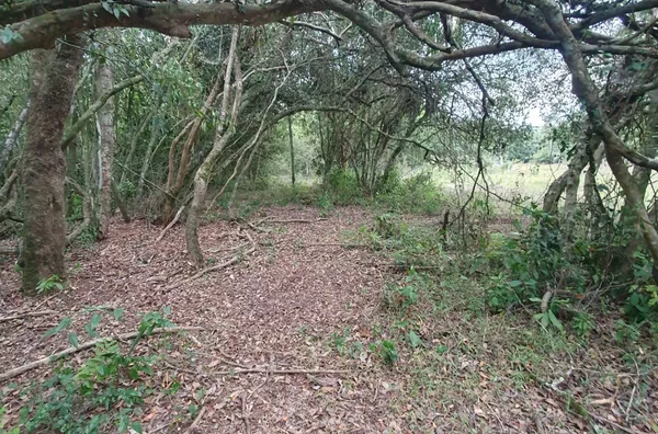 PROCURAS A TRANQUILIDADE DOS LAGOS E A AVENTURA DOS RIOS? ACABA DE ACHAR