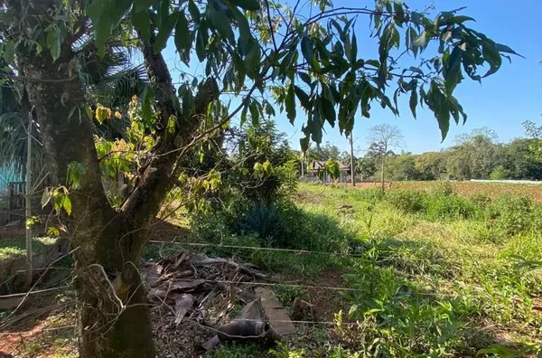 LAZER OU CRIAR E PLANTAR, ESSA CHÁCARA PODE SER SUA