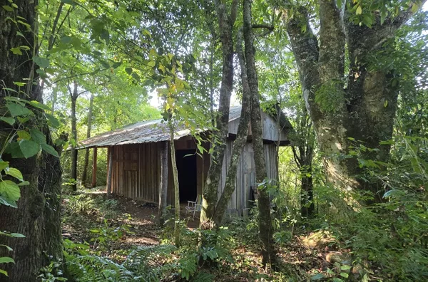 RESPIRE FUNDO E DEIXA A NATUREZA CURAR VOCÊ!