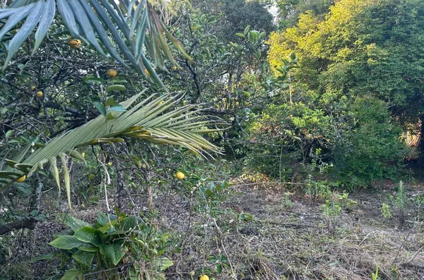 TERRENO AMPLO DE 660m² PRONTO PARA CONSTRUIR!