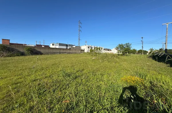 GRANDE OPORTUNIDADE QUE PODE SE ENCAIXAR NO SEU BOLSO