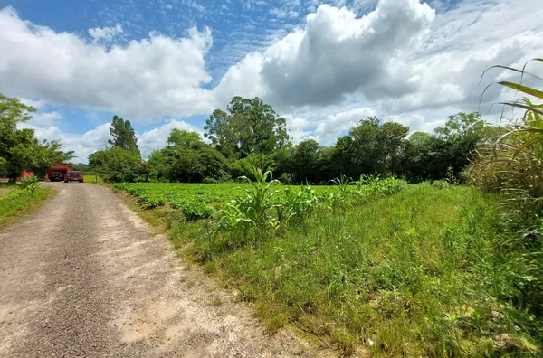 85% DE ÁREA DE PLANTIO E 2 AÇUDES COM ESTRUTURA PARA SETOR DA FUMICULTURA