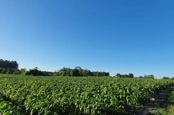 MUITO ESPAÇO PARA VOCÊ E SUA FAMÍLIA, NESSA BELA ÁREA PARA SEU LAZER