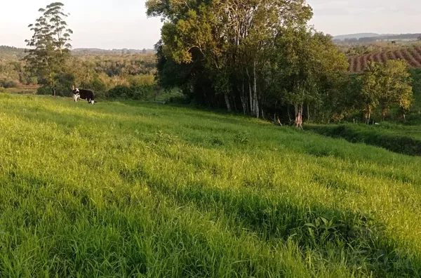 ESPAÇO DE SOBRA PARA REALIZAR SEUS SONHOS: horta, pomar e piscina