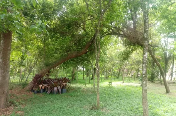 PROCURA TERRENO PARA FAZER SUA MORADIA?