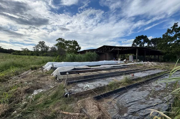 OPORTUNIDADE: O SOLO IDEAL PARA O SEU PRÓXIMO GRANDE PROJETO