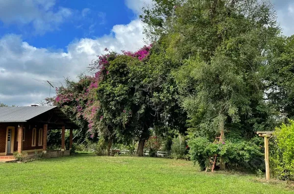 17,8ha PARA CULTIVO DA TERRA E PASSAR BONS MOMENTOS NO CAMPO