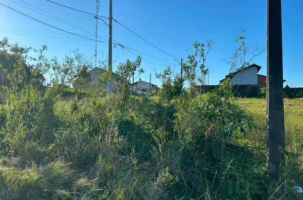 PROCURANDO TERRENO PARA CONSTRUIR SEU FUTURO LAR? - Foto 3