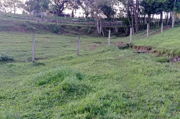 ESPAÇO DE SOBRA PARA REALIZAR SEUS SONHOS: horta, pomar e piscina