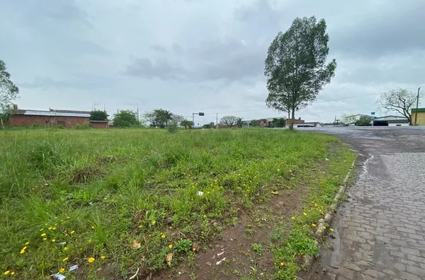 INVESTIMENTO COM EXCELENTE RETORNO PARA SUA FAMÍLIA