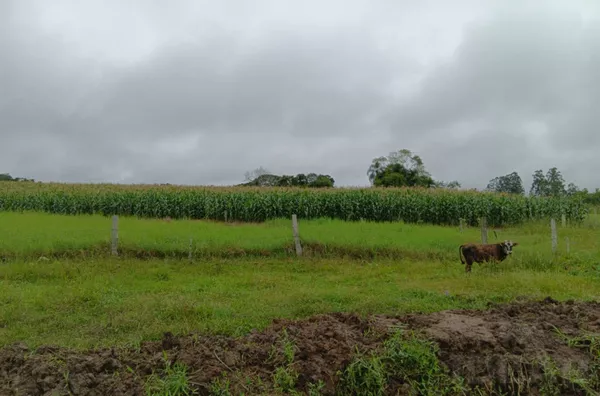 VIVA A SIMPLICIDADE DO CAMPO COM ÁREA PARA CULTIVAR OS SEU SONHOS - Foto 11