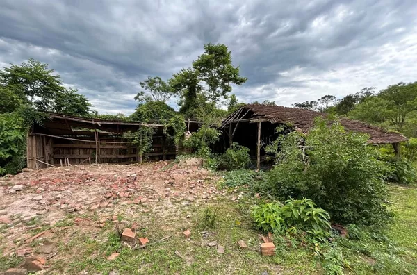 MUITA ÁREA VERDE PARA A TRANQUILIDADE DE TODA A FAMÍLIA