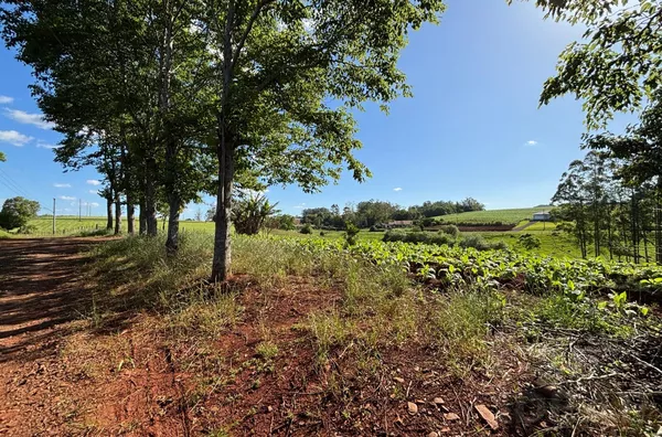 MINI-CHÁCARA EM ÓTIMA LOCALIZAÇÃO E CONFORTO PARA A FAMÍLIA