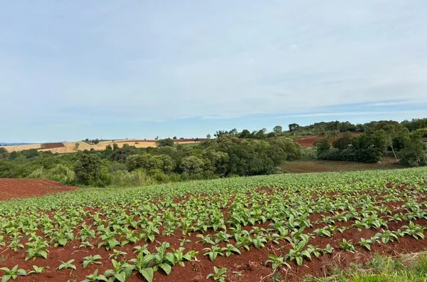 CHÁCARA DE 57.659m², COM ÁREA DE PLANTIO E LAZER EM LINHA HERVAL