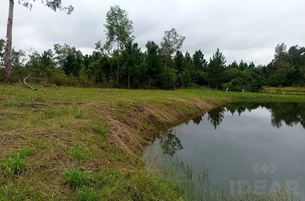 TROQUE O BARULHO DA CIDADE PELO CANTO DOS PÁSSAROS