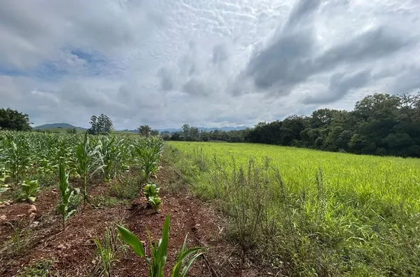 ÁREA DE 1,7ha COM DUAS OPÇÕES, COM CASA OU SEM CASA