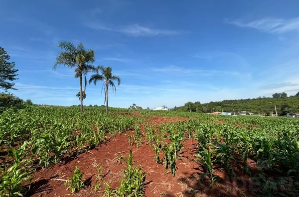 TERRENO 80m DO ASFALTO, COM OPÇÃO DE AUMENTO DE ÁREA!