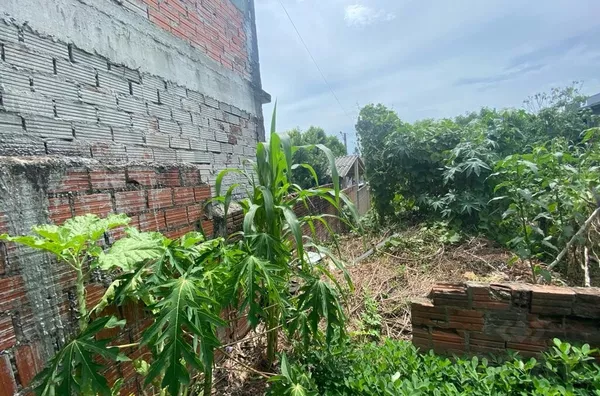 277m² DE MUITO ESPAÇO PARA SUA FAMÍLIA