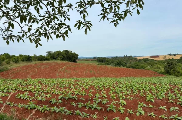 CHÁCARA DE 57.659m², COM ÁREA DE PLANTIO E LAZER EM LINHA HERVAL