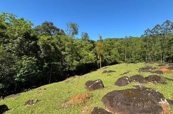 MUITA SOMBRA E NATUREZA FAZEM PARTE DO CONFORTO QUE BUSCA