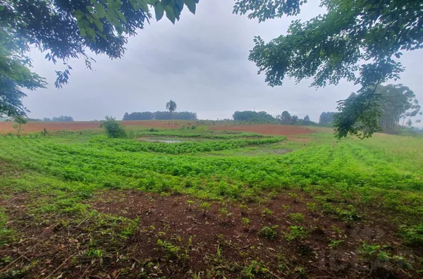 EXCELENTE LOCALIZAÇÃO EM REGIÃO DE MUITA TRANQUILIDADE