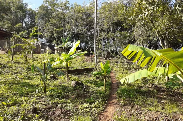 CASA ESTILO RÚSTICO EM MEIO A ÁREA VERDE, EM CERRO ALEGRE ALTO