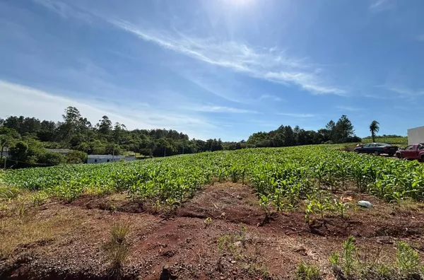 TERRENO 80m DO ASFALTO, COM OPÇÃO DE AUMENTO DE ÁREA!