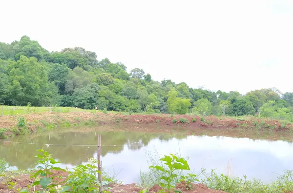 EXCELENTE ÁREA PARA PLANTIO OU TRANSFORMAR EM ÁREA DE LAZER PARA SEUS FAMILIARES