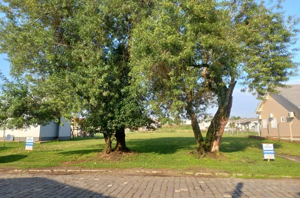 4 TERRENOS A SUA ESCOLHA! UM COM CERTEZA CABE NO SEU BOLSO