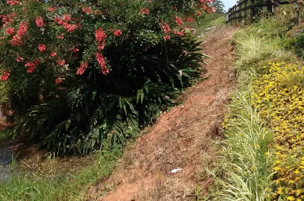 LINDA ÁREA DE TERRA DE 6,5ha E COM 170m DE FRENTE PARA O ASFALTO