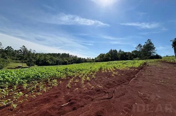 TERRENO 80m DO ASFALTO, COM OPÇÃO DE AUMENTO DE ÁREA!