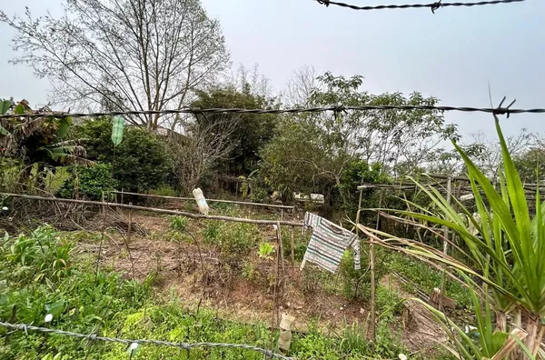 TERRENO DE ESQUINA AGUARDANDO SEU FUTURO EMPREENDIMENTO