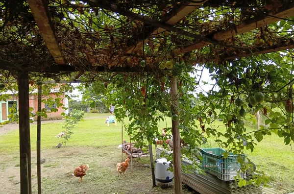 VIVA A SIMPLICIDADE DO CAMPO COM ÁREA PARA CULTIVAR OS SEU SONHOS - Foto 6