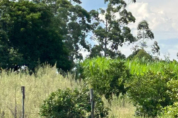 EXCELENTE LUGAR PARA TRANSFORMAR SEU AGITO EM TRANQUILIDADE