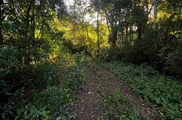 ÁREA DE TERRA COM 70% DE PLANTIO A MINUTOS DO CENTRO