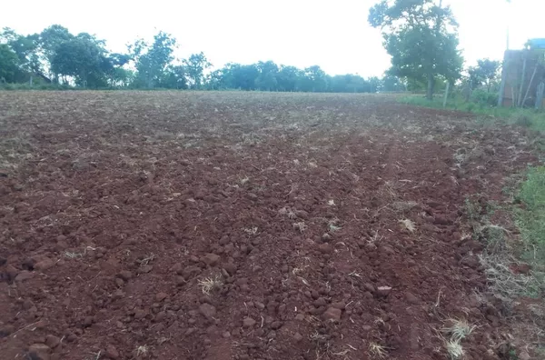 ÁREA DE TERRA, BOA PARA O CULTIVO DA SOJA OU A CULTURA QUE QUISER. INFORME-SE!