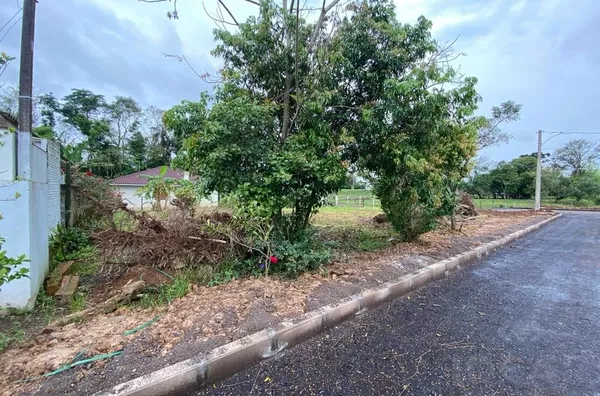 INVESTIMENTO COM EXCELENTE RETORNO PARA SUA FAMÍLIA