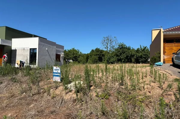 PROCURANDO TERRENO PARA INVESTIR NA FAMÍLIA