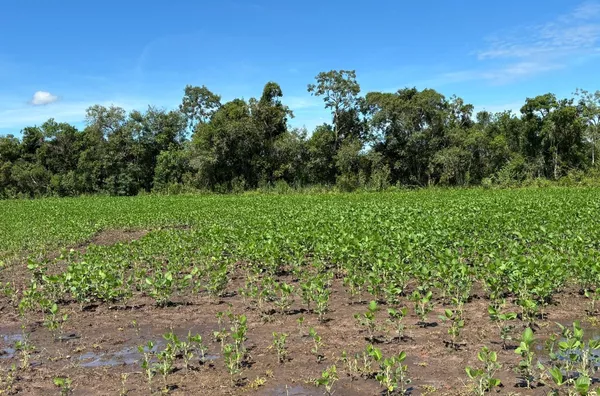 DESCONECTE-SE DO ESTRESSE E CONECTE-SE COM A NATUREZA