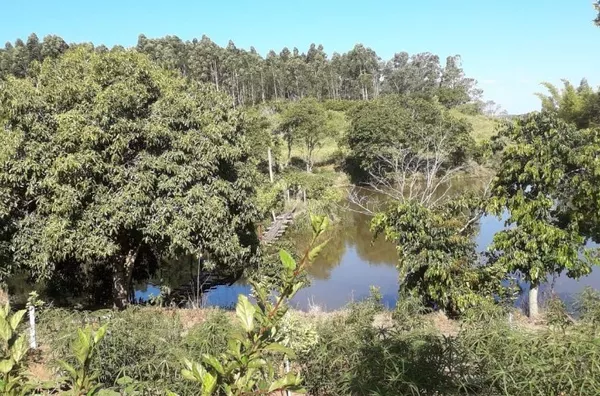 LINDA ÁREA DE TERRA DE 6,5ha E COM 170m DE FRENTE PARA O ASFALTO