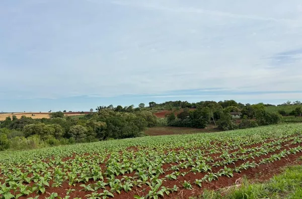 CHÁCARA DE 57.659m², COM ÁREA DE PLANTIO E LAZER EM LINHA HERVAL