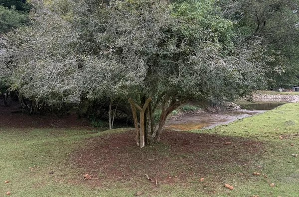CHÁCARA PARA O LAZER FAMILIAR, A POUCOS MINUTOS DO CENTRO