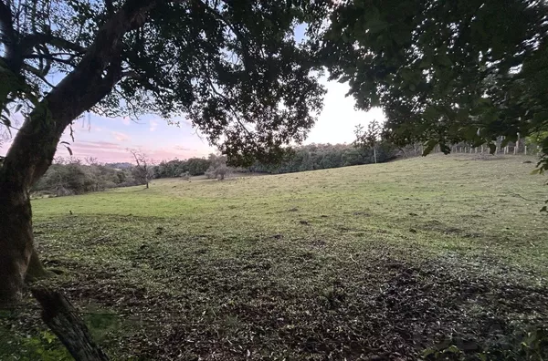 MAIS DE 7.000m² DE NATUREZA AGUARDANDO VOCÊ!