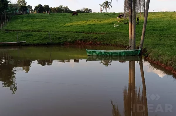 ESPAÇO DE SOBRA PARA REALIZAR SEUS SONHOS: horta, pomar e piscina