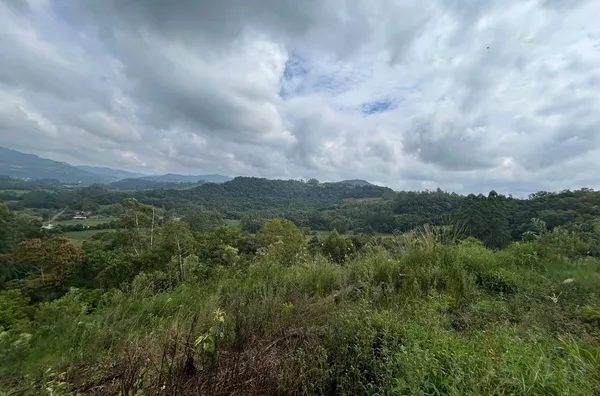 ÁREA DE 2,3ha COM RELEVO INGREME PARA CABANAS TURÍSTICAS