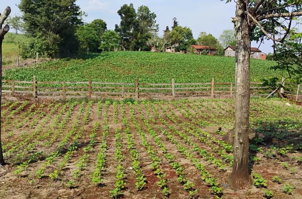 EXCELENTE ÁREA DE PLANTIO ou PARA LAZER E TRANQUILIDADE PRA FAMÍLIA